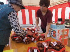 お祭りで栗を買う人