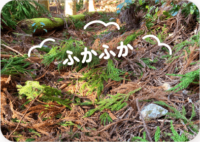 ふかふか