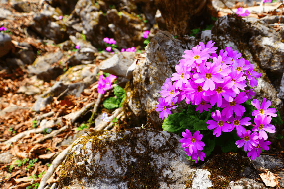 slider_7
