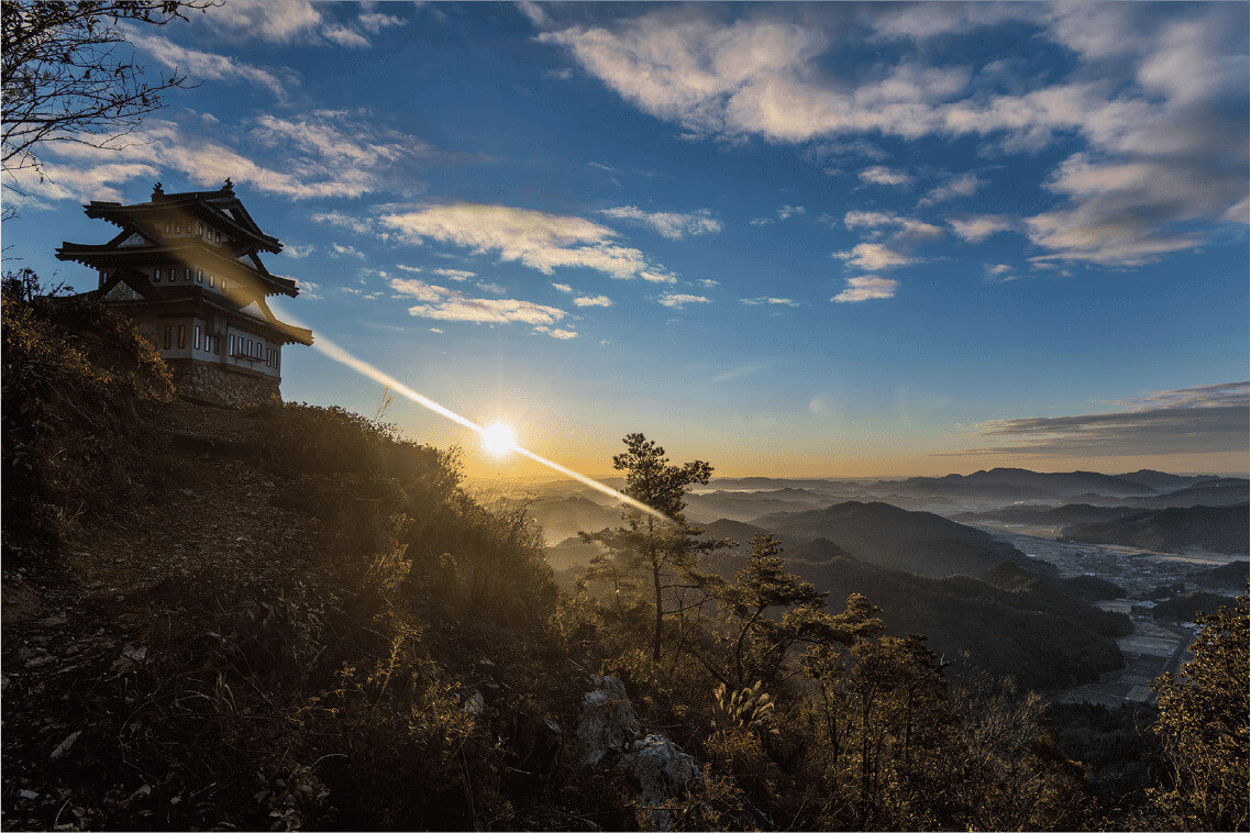 slider_8
