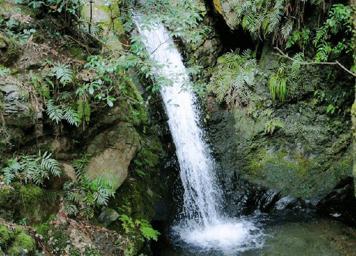 釜ヶ谷の小滝