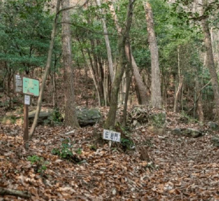 伝　岩門
