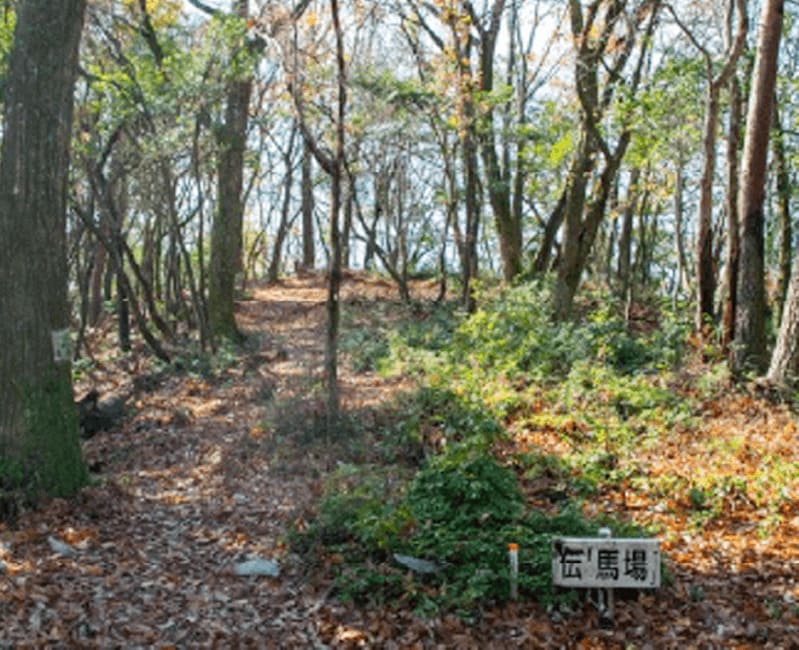 伝　馬場