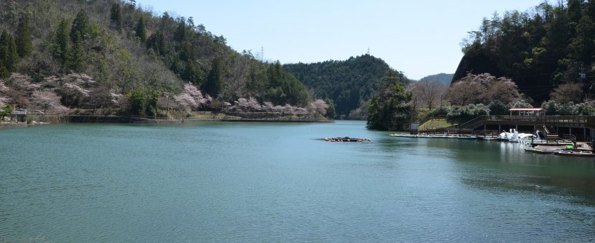 伊自良湖の画像