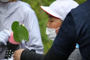 野山の散策2