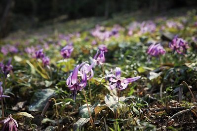 赤尾地内の画像