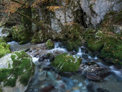 伏流水の湧水の画像