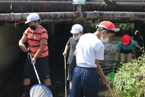 生き物調べの様子