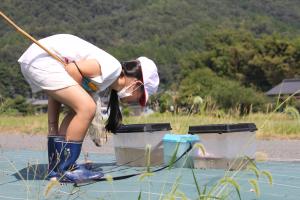 捕まえた生き物をのぞき込む