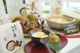 炊き込みご飯の素　岐阜山県の栗　栗ごはんの画像