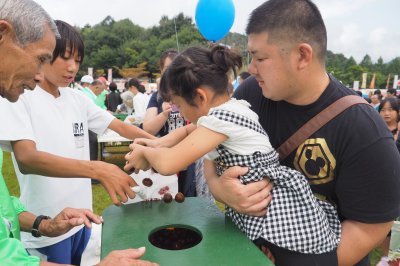 栗のつかみ取りコーナーの画像