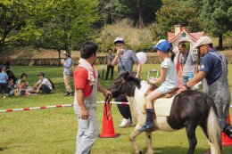 乗馬体験コーナーの画像