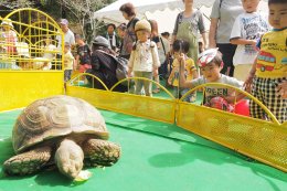 移動動物園の画像