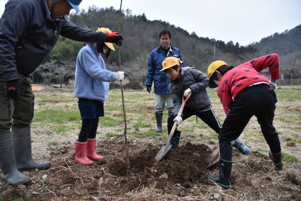 大桑小学校栗の苗木植樹