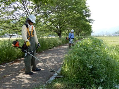 便利で快適なまちづくり事業（公園等管理）の画像