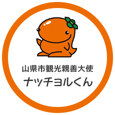 テストの画像