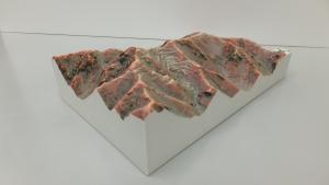 赤色立体模型