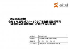 成果報告書（詳細版）