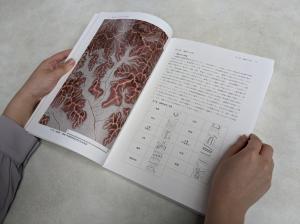 大桑城跡総合調査報告書写真②