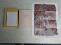 報告書