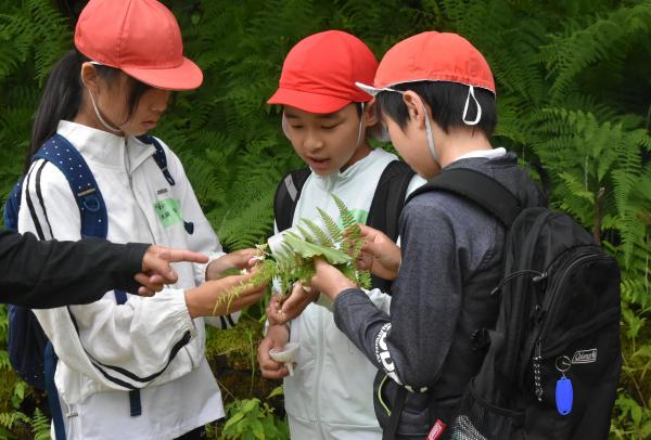豊かな自然に触れる　やまがた森と川の学校