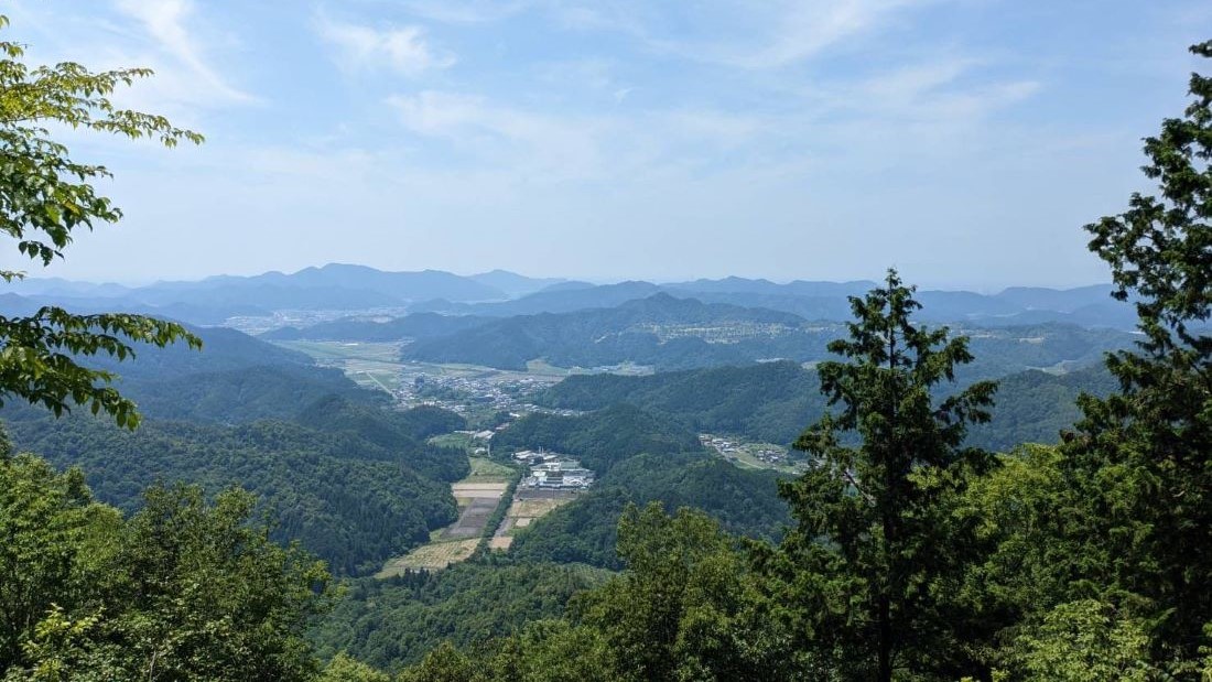 深緑の木々が広がる大桑城跡南麓