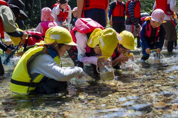 見て、触れて、遊んで　小川で生き物さがし【令和7年7月22日】