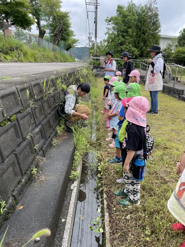 水路に何がいるかな