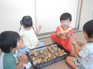 あひる