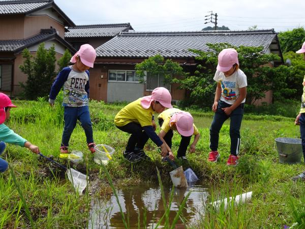 田んぼ