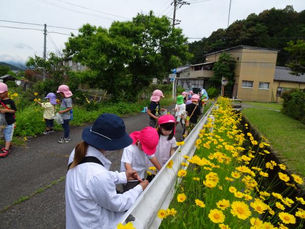 さんぽ