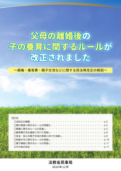 父母の離婚後の子の養育に関するルールが改正されました（法務省作成パンフレット）