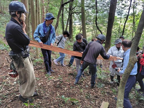 ユネスコ無形文化遺産　檜の樹皮採取の職人技を見学【令和7年10月11日】