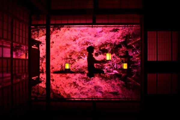 記憶に残る秋の一枚　夜の東光寺ライトアップ【令和7年11月7～11日】