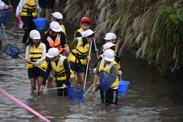 鳥羽川生き物採取