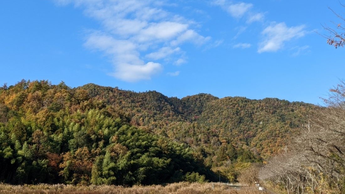 古城山、秋の装い
