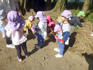 どんぐりひろい1