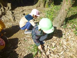 どんぐりひろい2