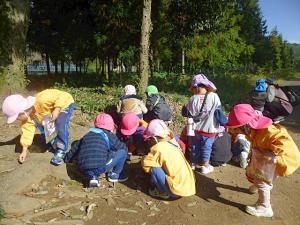 どんぐりひろい3