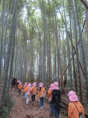 自然体験学習の様子