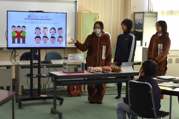 メダカのDNA鑑定報告会