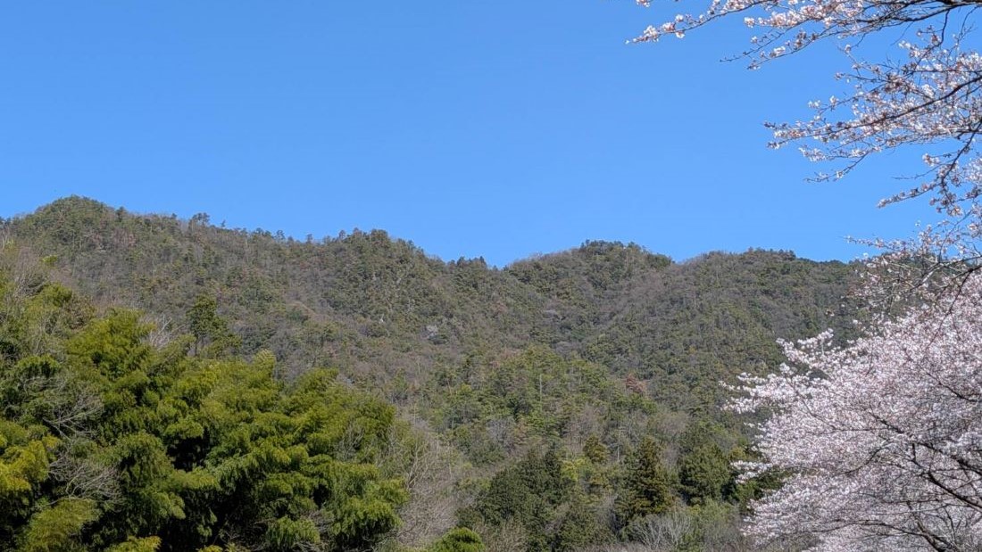 国指定祝いの春