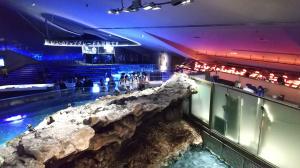 すみだ水族館