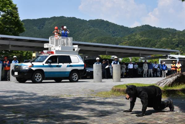 緊急銃猟