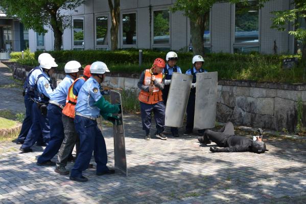 生存確認