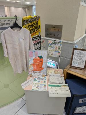 展示作品