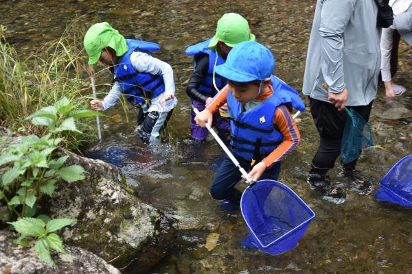 小川の生き物さがし