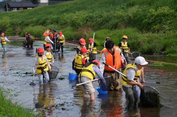富岡小学校　鳥羽川の生き物採取・水質検査【令和8年10月23日】
