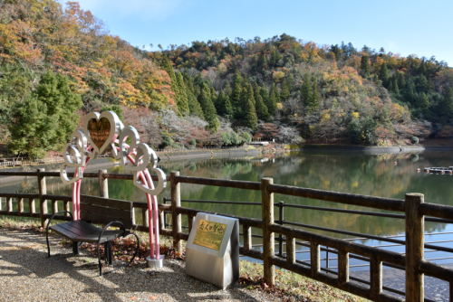 湖の画像