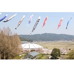 四国山からのドーム画像